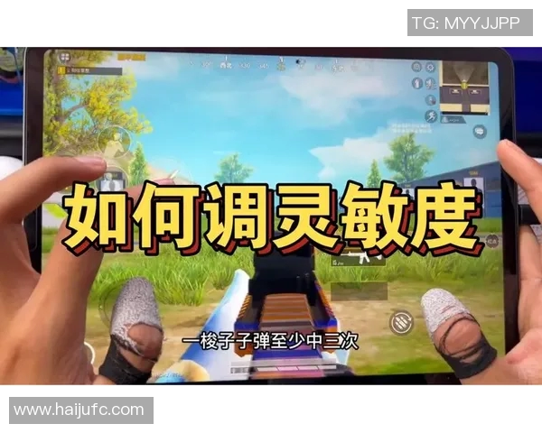 专访李敏:深入探讨和平精英背后的成功秘诀与未来发展方向 专访李敏:深入探讨和平精英背后的成功秘诀与未来发展方向