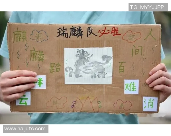 南京排球队的蜕变之旅：从传统到现代的全新纪实探索